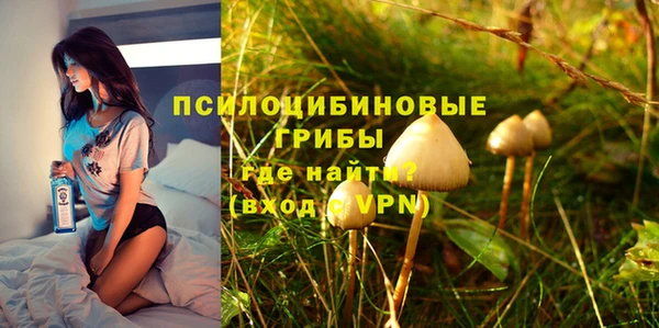 гидра Арсеньев