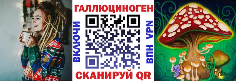 blacksprut как войти  сколько стоит  Исилькуль  Галлюциногенные грибы Psilocybe 